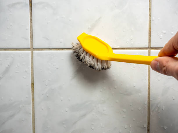 Plummer, ID Mold Removal Company
