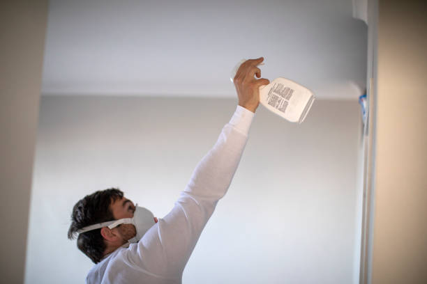 Attic Mold Removal in Plummer, ID