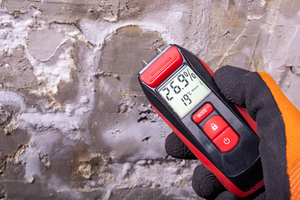 Best Affordable Mold Removal  in Plummer, ID