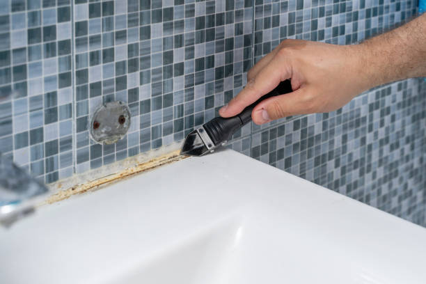Best Residential Mold Removal  in Plummer, ID
