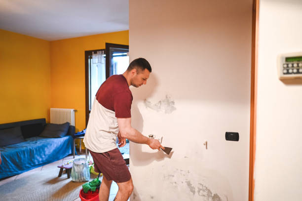 Best Professional Mold Removal  in Plummer, ID